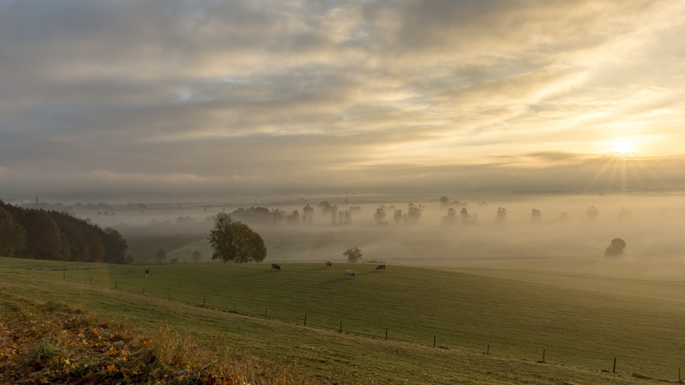 5. Platz Anton Kienle